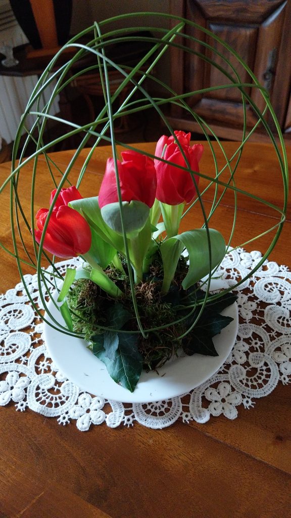 Tulipes en cage